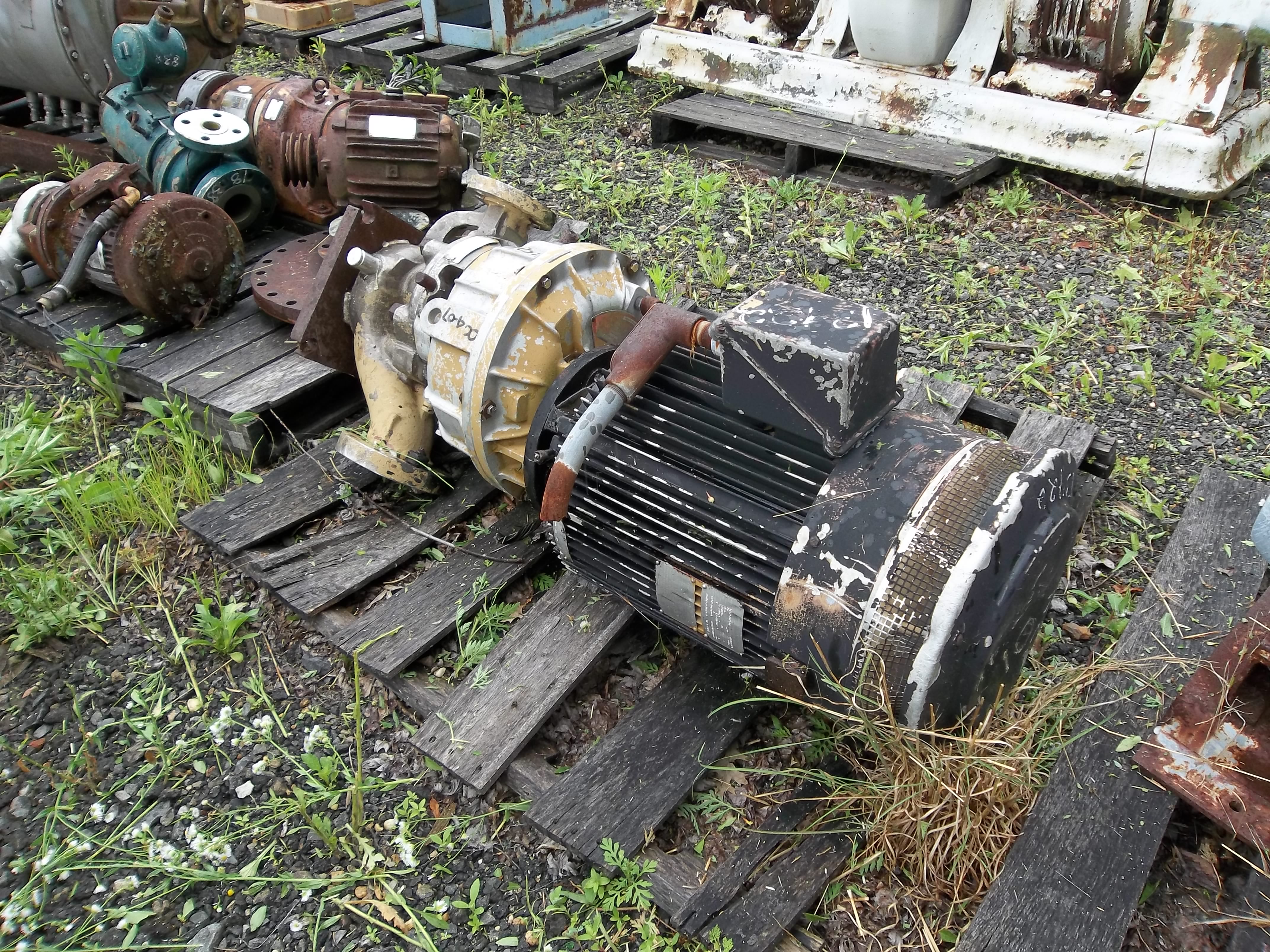 IPP# 13422, 3.9 m3/h (17 GPM)  Stainless Steel 304 Centrifugal Pump For Sale