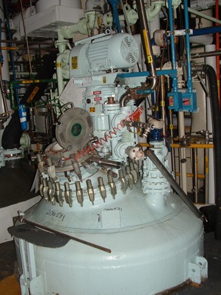  Glasslined Batch-Type Agitated Reactor