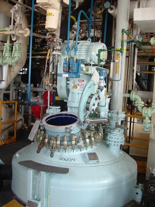  Glasslined Batch-Type Agitated Reactor