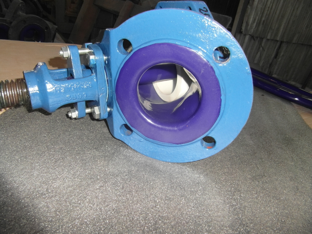 Glass Lined Valve - IPP# 200727