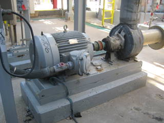  Stainless Steel 304 Centrifugal Pump