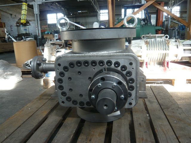 IPP# 217888,  Unused Stainless Steel Austentic Rotary Pump For Sale