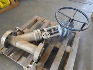  Stainless Steel 316 Gate Valve