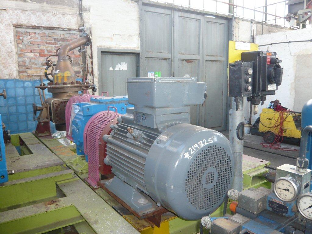 IPP# 219825,   Stainless Steel Austentic Rotary Pump For Sale