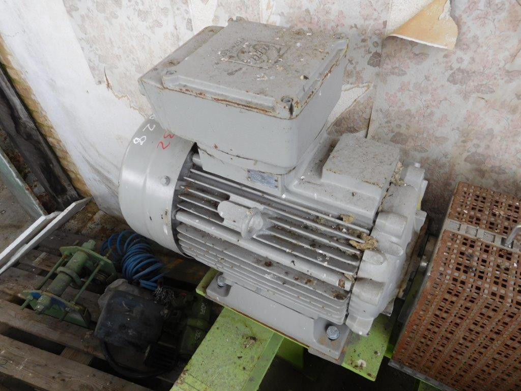 IPP# 219828,   Stainless Steel Austentic Rotary Pump For Sale