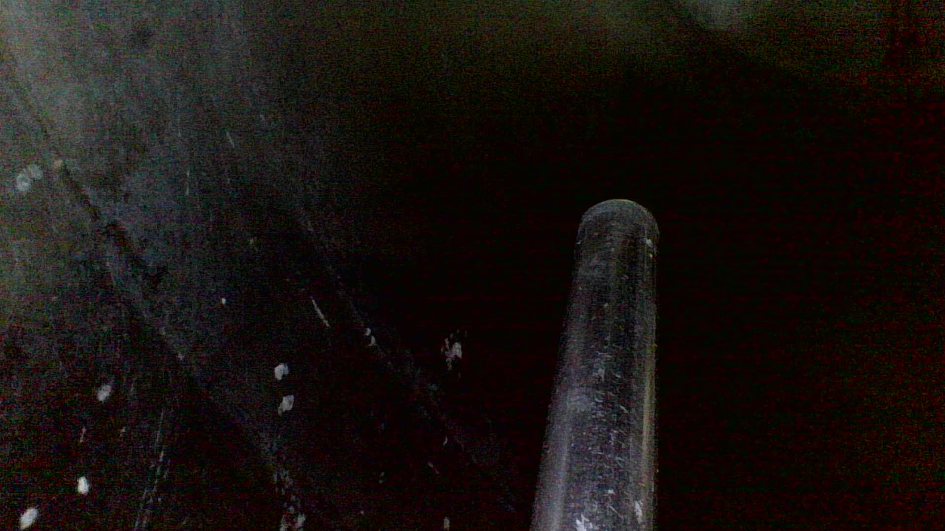 Stainless Steel 316 Batch-Type Agitated Reactor - IPP# 225354