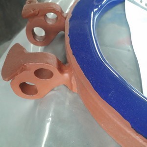 IPP# 225447,   Glasslined Pro-Ring Glass Lined Parts For Sale