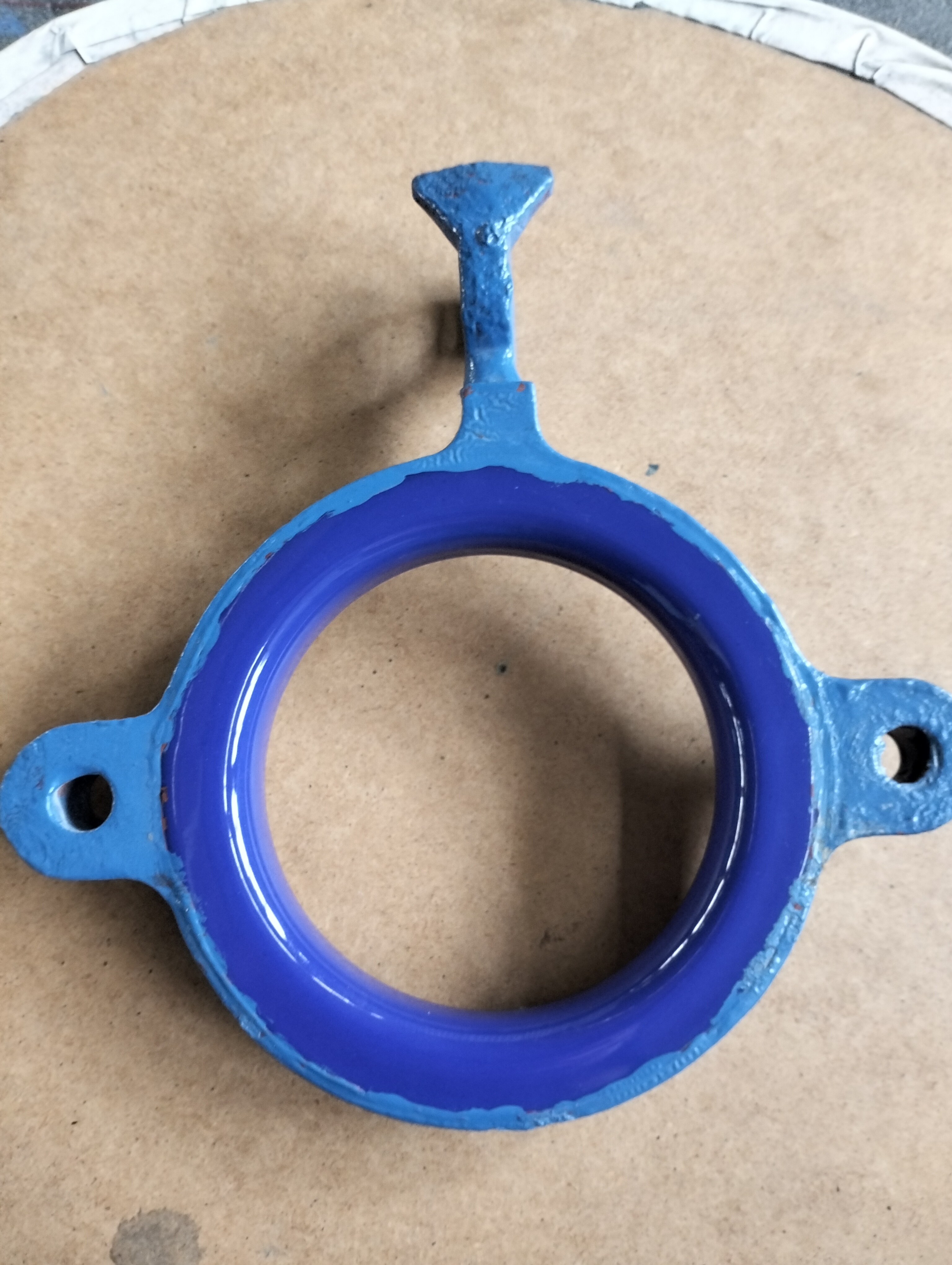 Glasslined  Pro-Ring Glass Lined Parts - IPP# 225459