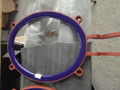 IPP# 228289,   Glasslined Pro-Ring Glass Lined Parts For Sale