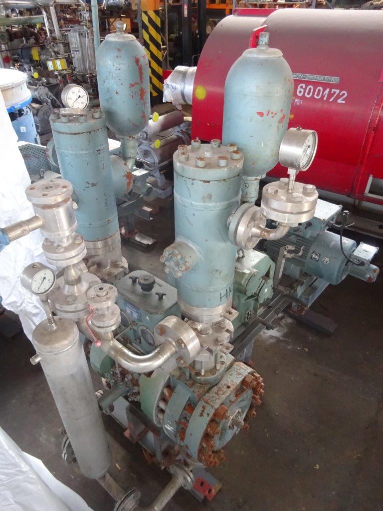 IPP# 229108, 3.2 m3/h (14.1 GPM)  Stainless Steel Other Reciprocating Pump For Sale