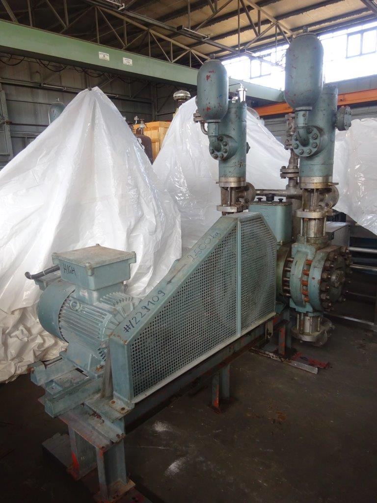 IPP# 229109, 3.2 m3/h (14.1 GPM)  Stainless Steel Other Reciprocating Pump For Sale