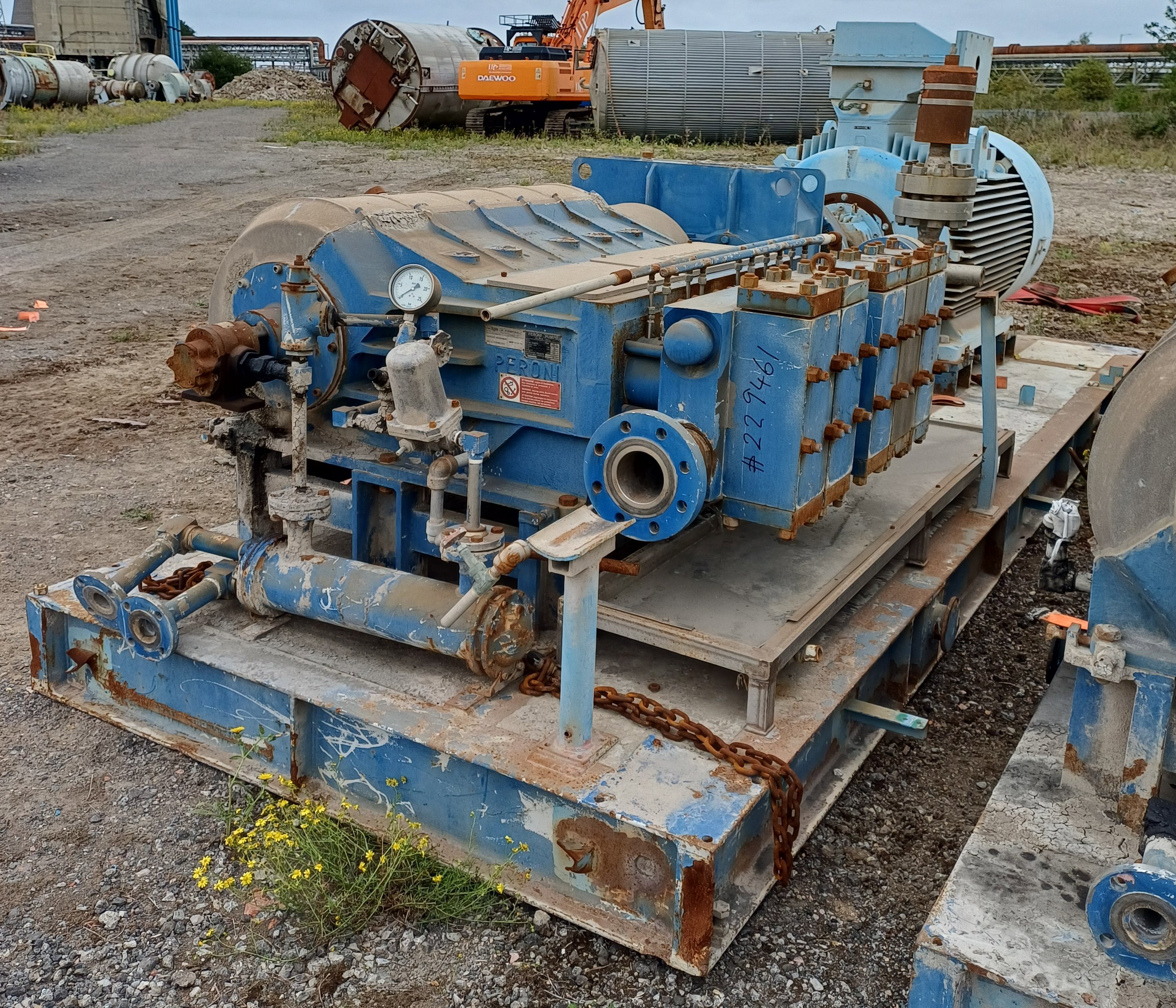Stainless Steel 316 Peroni Titano 3140/Q (Q53x120) Reciprocating Pump - IPP# 229461