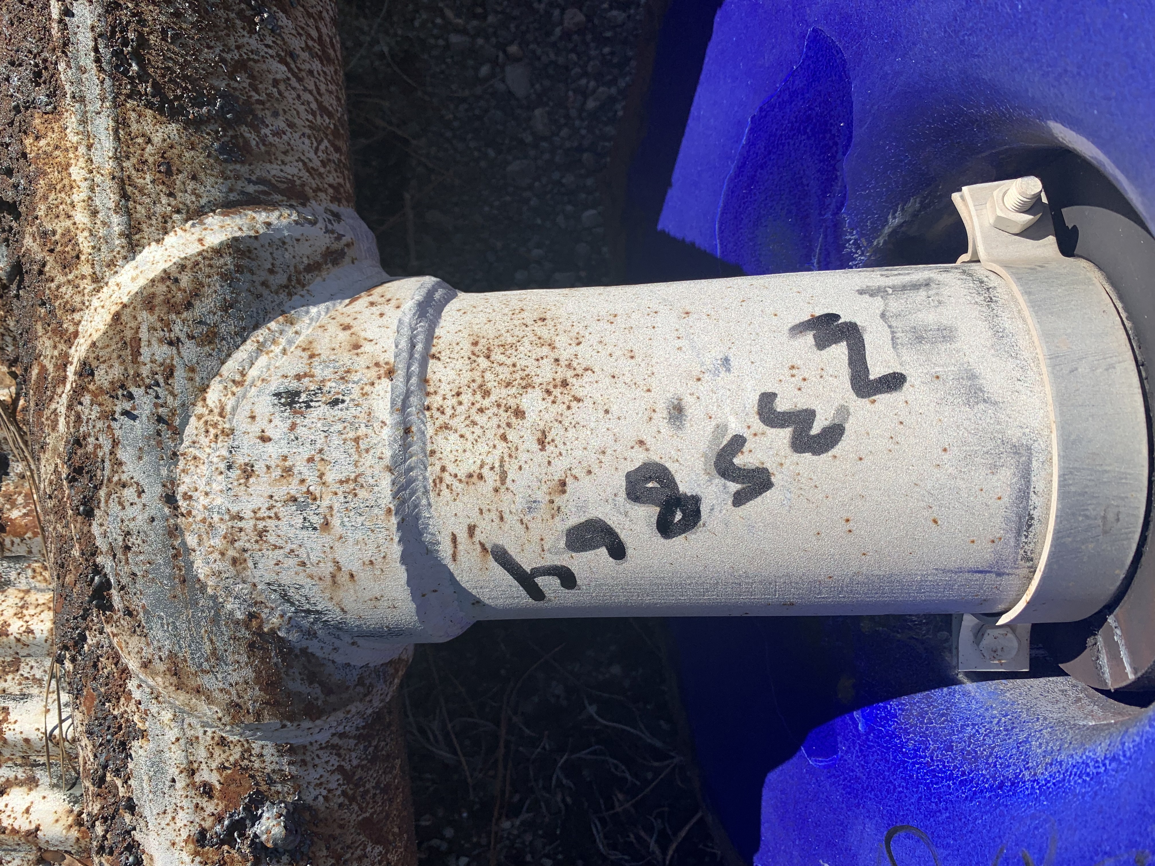 Hastelloy - Other  Shell and Tube Heat Exchanger - IPP# 235864