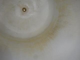 Image 15