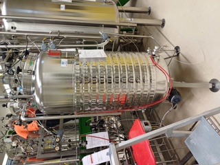  Stainless Steel 316 Batch-Type Agitated Reactor