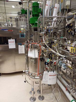 Stainless Steel 316 B Braun+Diessel Biotech GmbH 75 DS Batch-Type Agitated Reactor