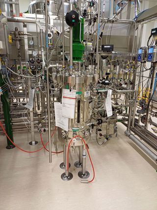 Stainless Steel 316 B Braun+Diessel Biotech GmbH 75 DS Batch-Type Agitated Reactor