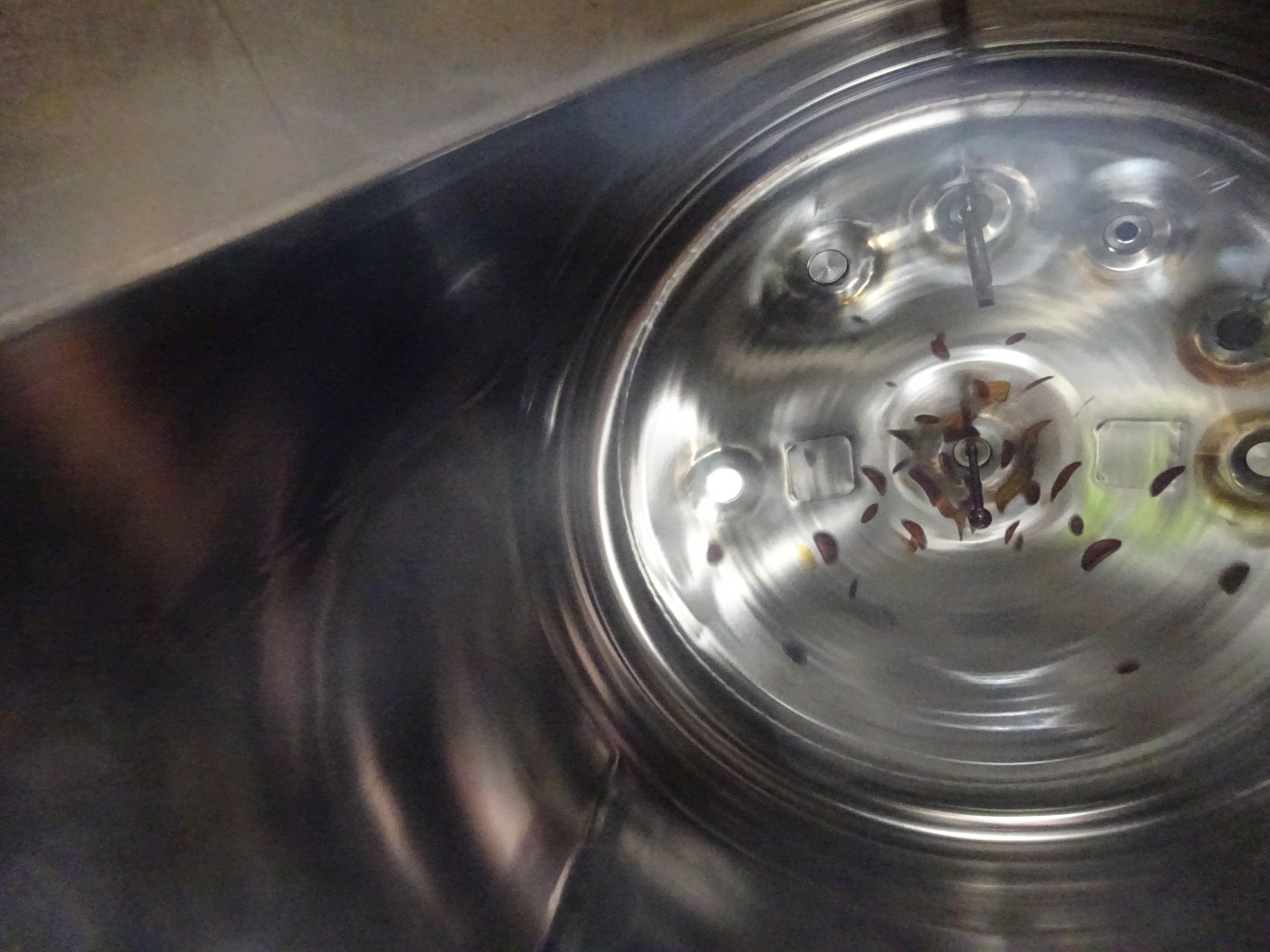 Stainless Steel 316L Tankki OY Tank - IPP# 239319