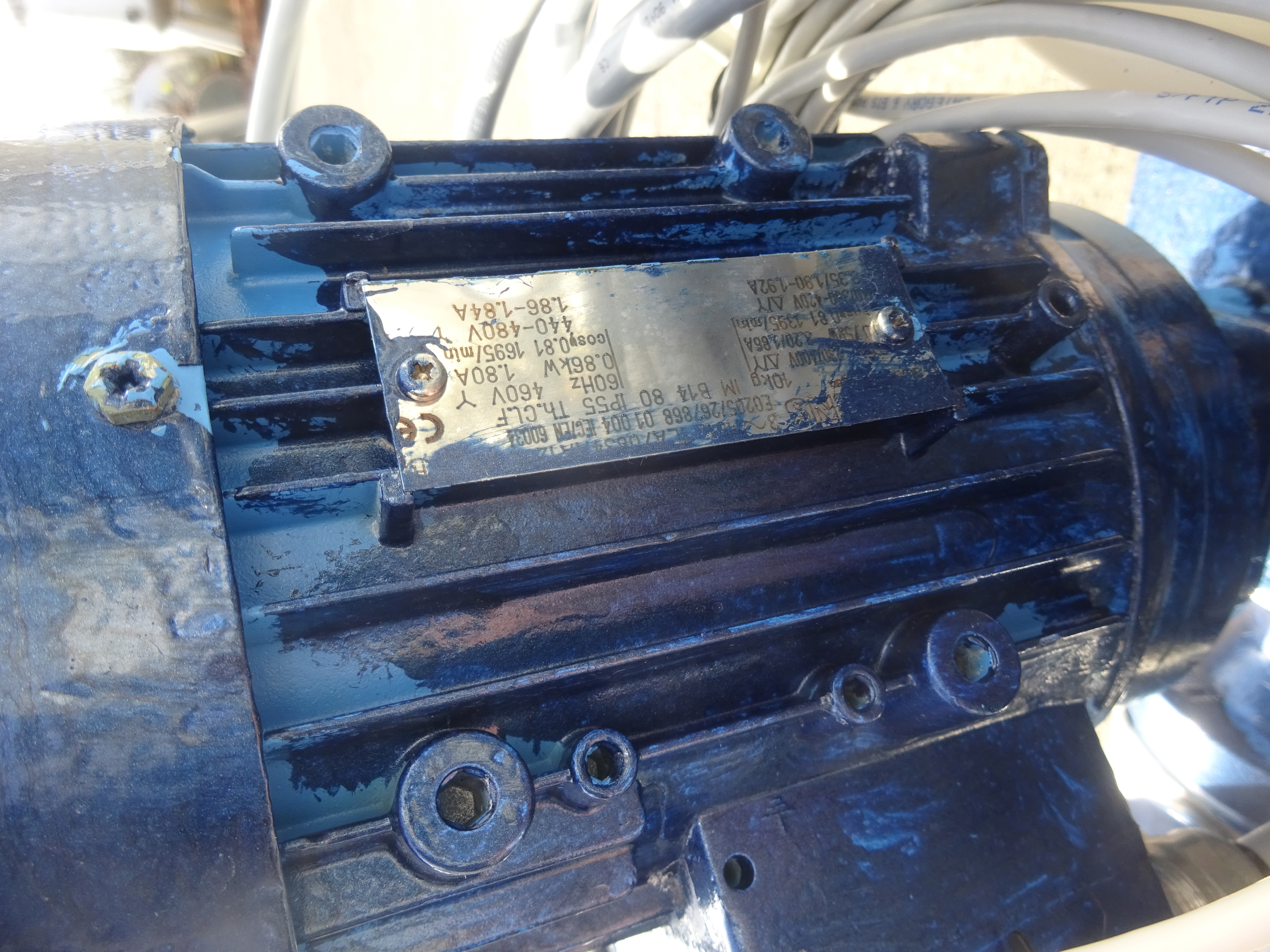 Stainless Steel 316 Column - IPP# 239337