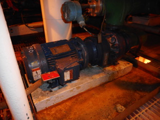  Stainless Steel 316 Centrifugal Pump