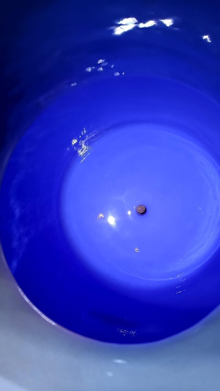 New Glasslined UGE UA-1000 Batch Type Reactor Body /Receiver/Jacketed Tank - IPP# 246497