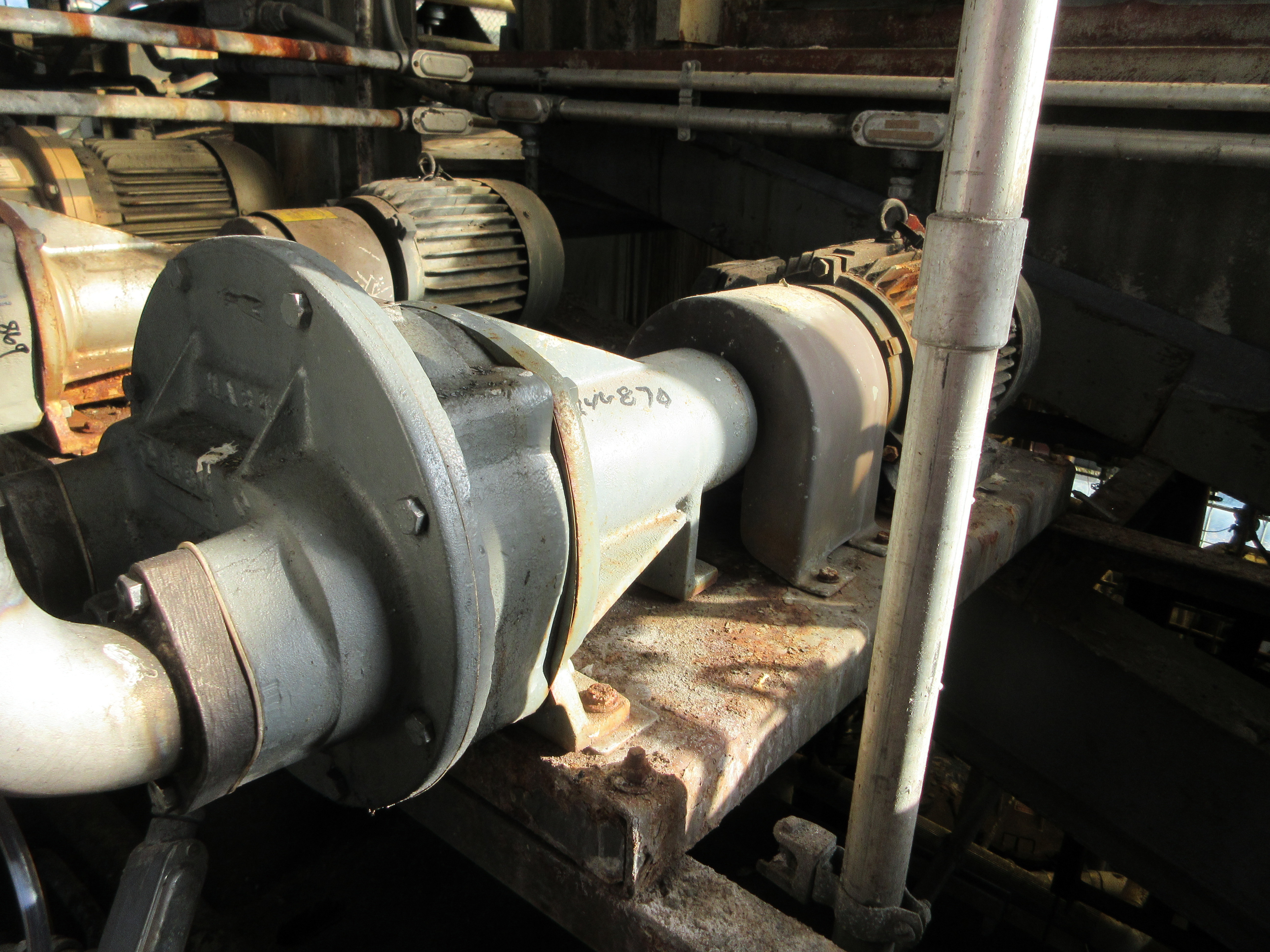   Pump-Vacuum 69.7 m3/h (41 CFM) Stainless Steel 316 For Sale - IPP# 246870