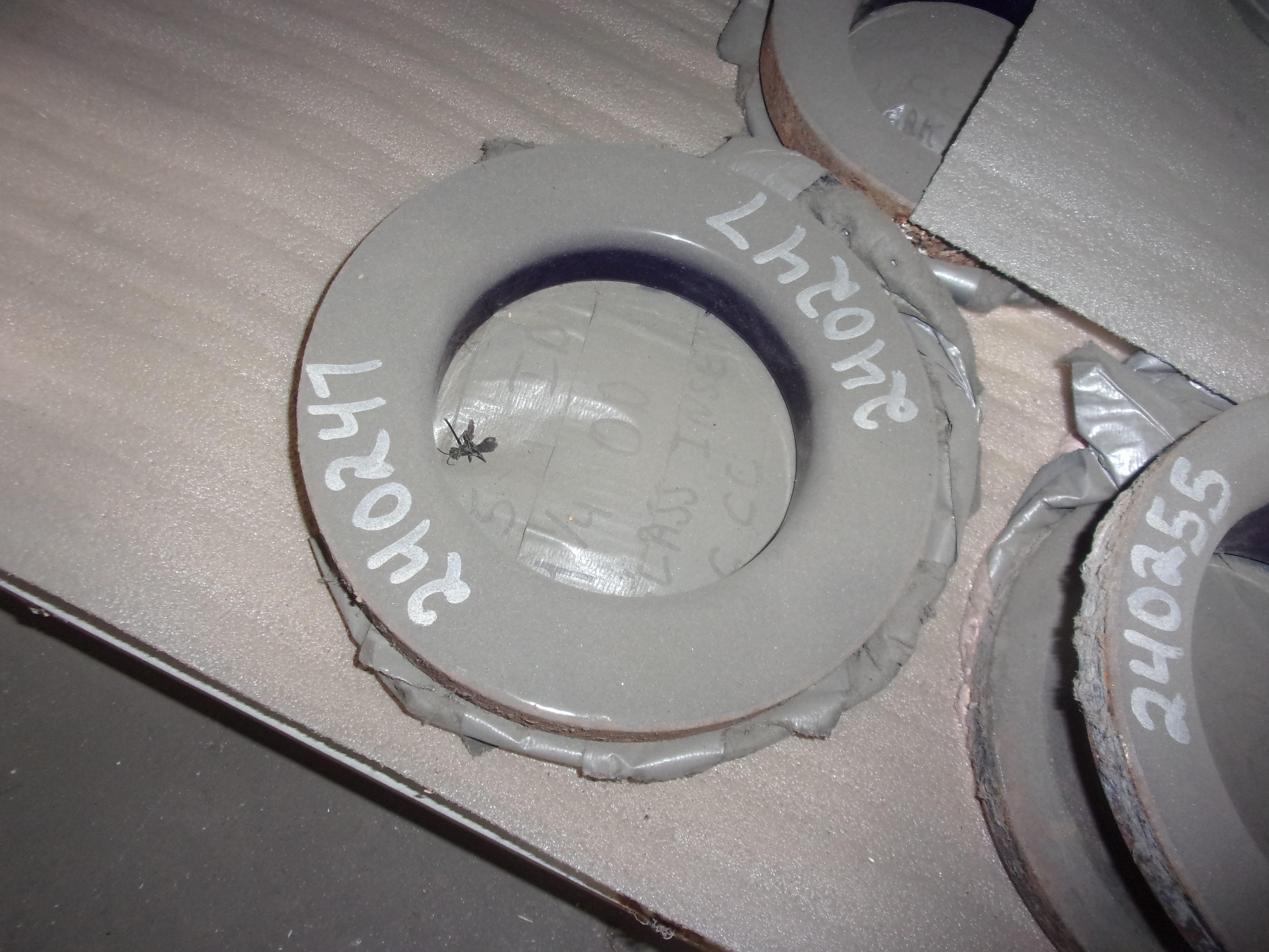 Glasslined  Miscellaneous Glass Lined Parts 5.75" Glass Insert - IPP# 240247