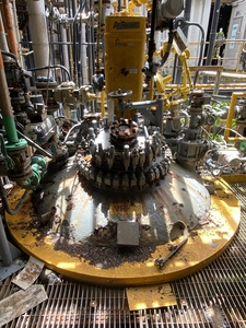  Glasslined Batch-Type Agitated Reactor