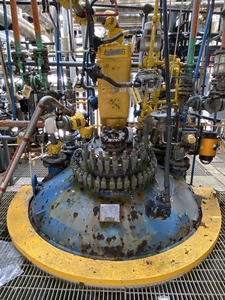  Glasslined Batch-Type Agitated Reactor