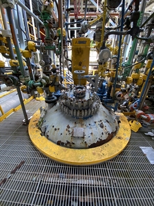  Glasslined Batch-Type Agitated Reactor