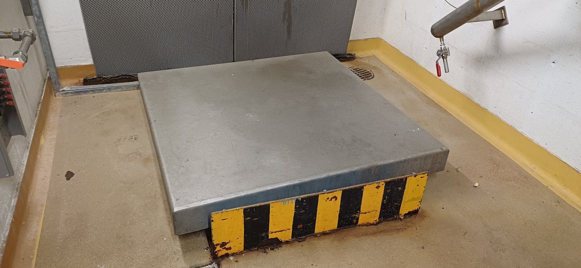 stainless steel 316 Pavone Sistemi SRL platform weigh scales Miscellaneous - IPP# 242842