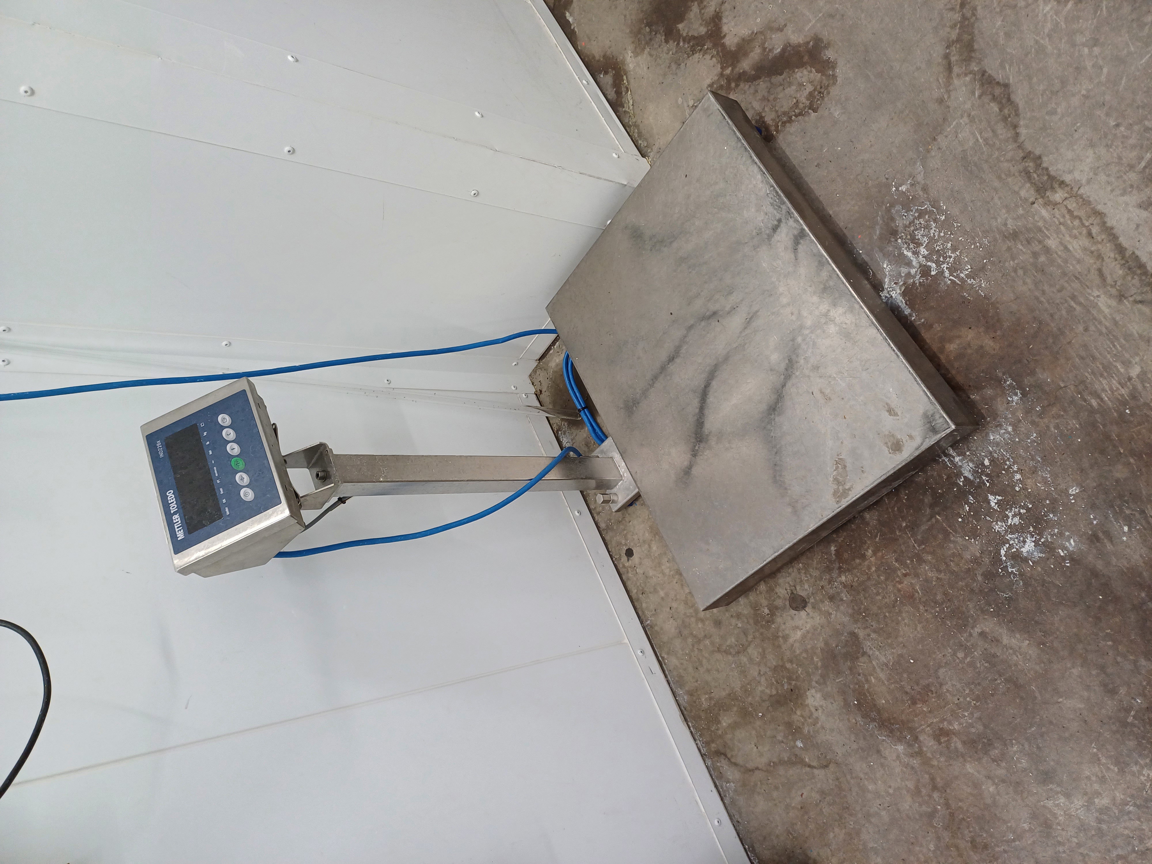 Stainless Steel 316 Mettler Toledo Platform Scales - Miscellaneous - IPP# 242847
