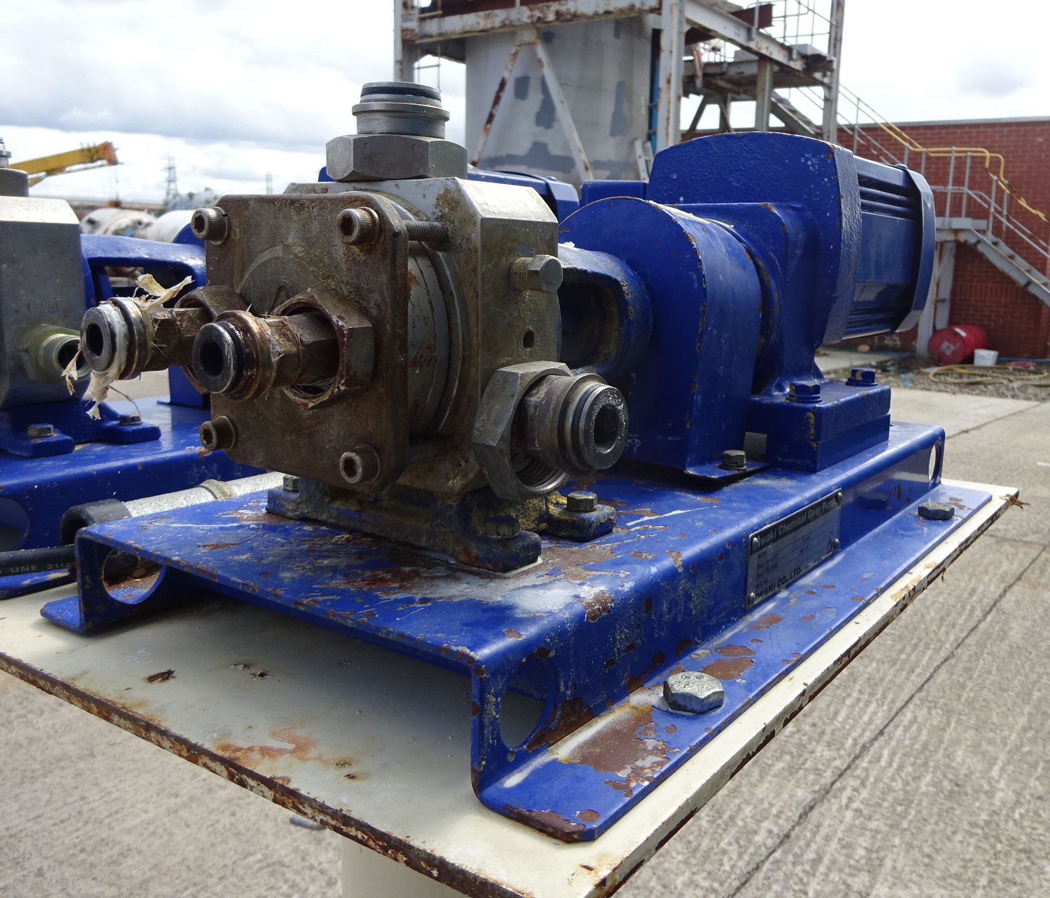 IPP# 706283,   Stainless Steel 304 Rotary Pump For Sale