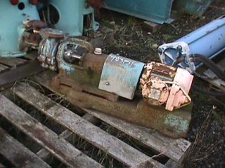  Stainless Steel 316 Centrifugal Pump