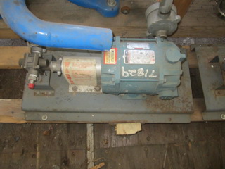  Stainless Steel 316 Rotary Pump