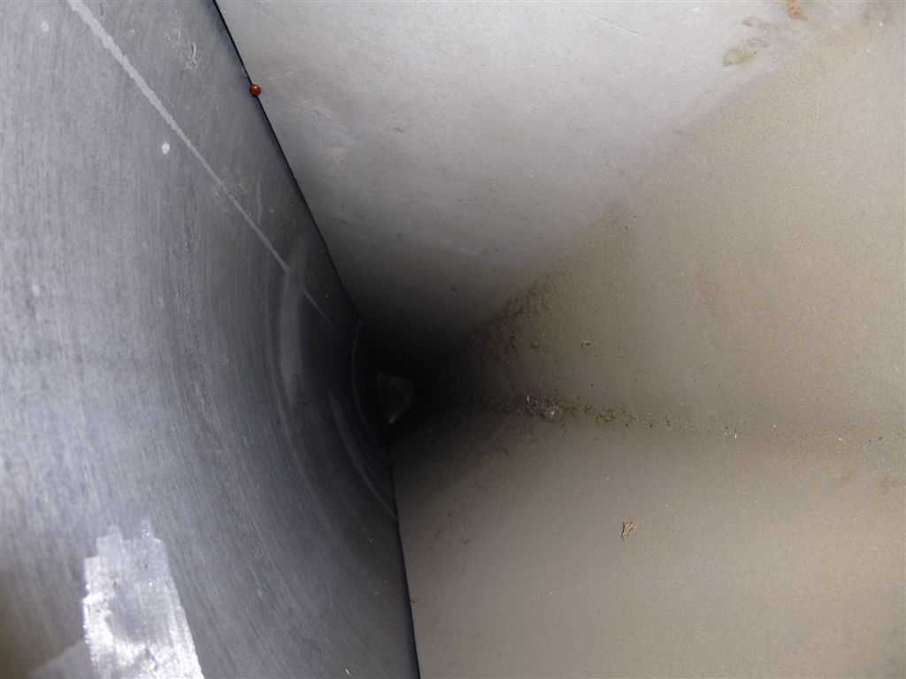  154.2 kg/h (340 lb/h) Stainless Steel 316 Wiped/Thin Film Evaporator For Sale - IPP# 81577