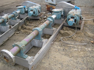 IPP# 94607, 11.4 m3/h (50 GPM)  Stainless Steel 316 Rotary Pump For Sale